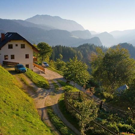 Вілла Turisticna Kmetija Perk Солчава Екстер'єр фото