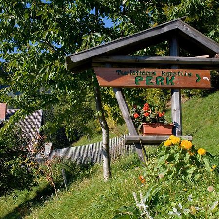 Вілла Turisticna Kmetija Perk Солчава Екстер'єр фото