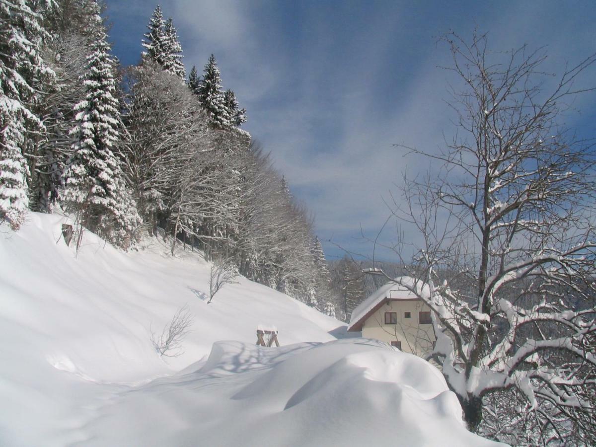 Вілла Turisticna Kmetija Perk Солчава Екстер'єр фото