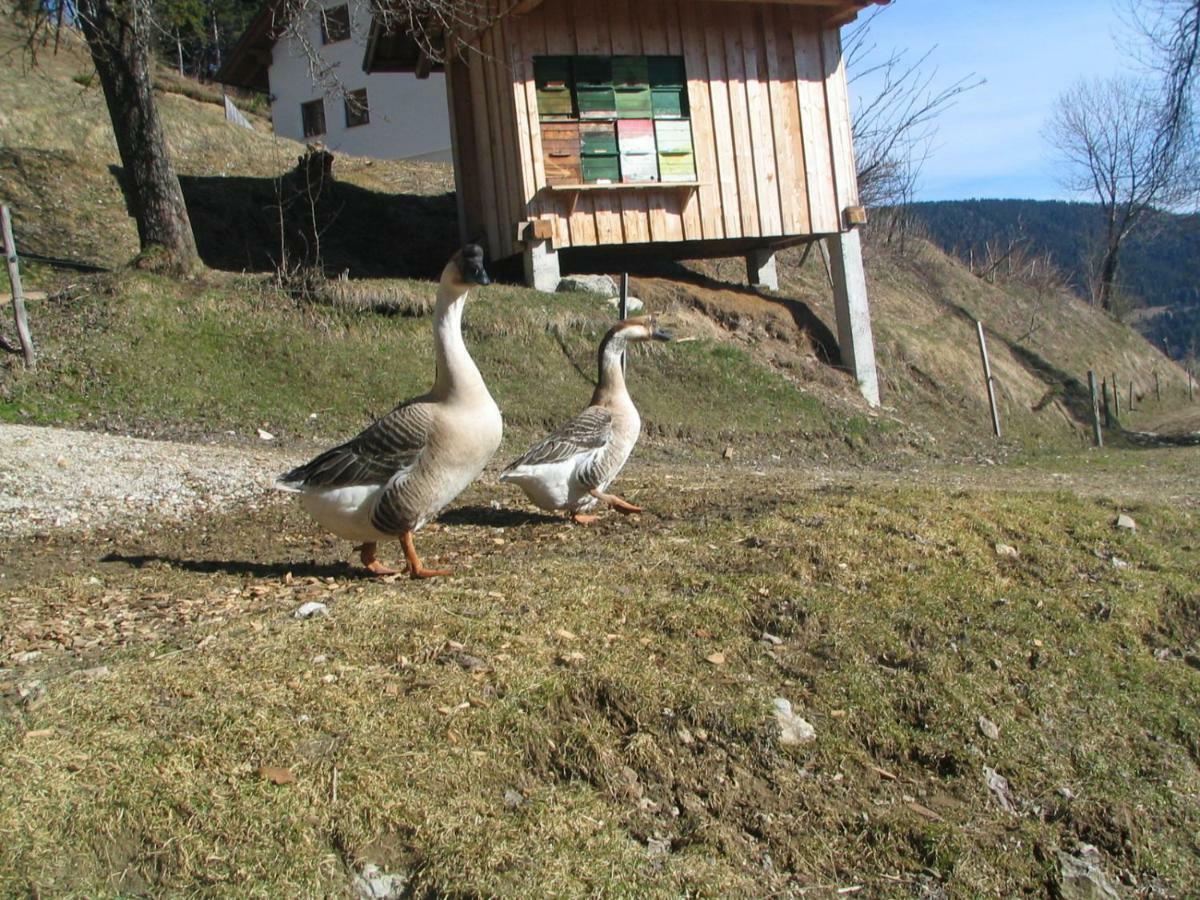 Вілла Turisticna Kmetija Perk Солчава Екстер'єр фото