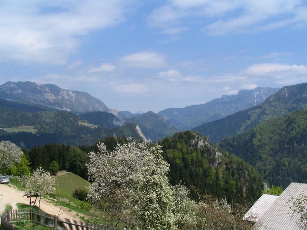 Вілла Turisticna Kmetija Perk Солчава Екстер'єр фото