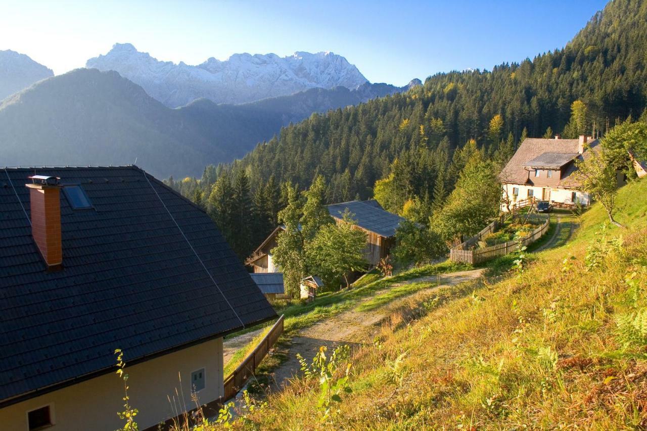 Вілла Turisticna Kmetija Perk Солчава Екстер'єр фото