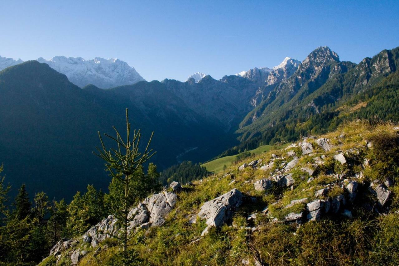 Вілла Turisticna Kmetija Perk Солчава Екстер'єр фото