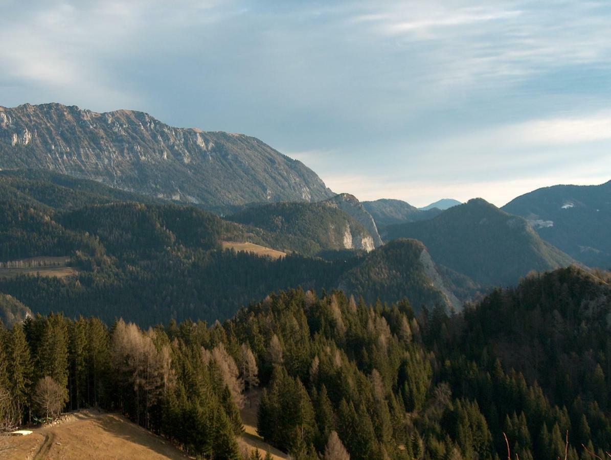Вілла Turisticna Kmetija Perk Солчава Екстер'єр фото