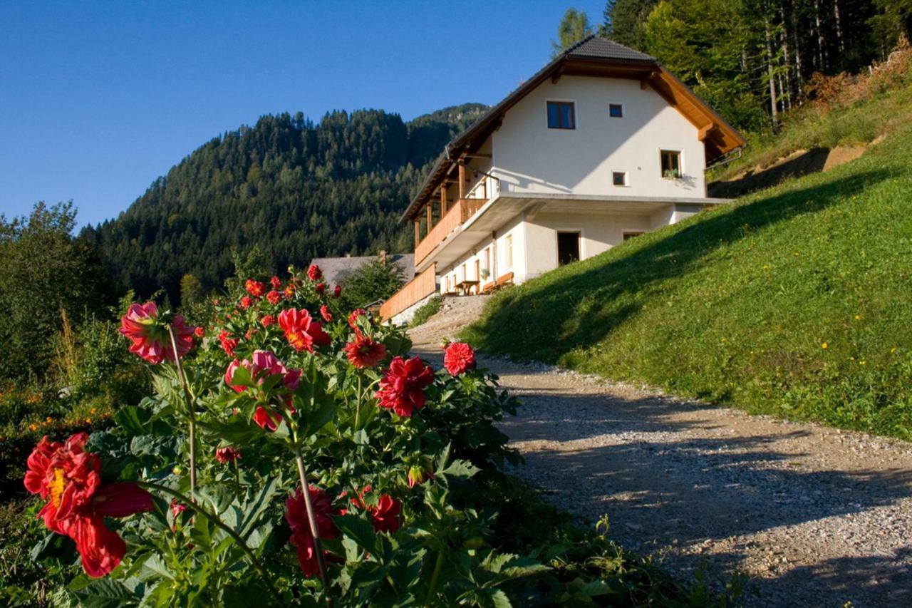Вілла Turisticna Kmetija Perk Солчава Екстер'єр фото