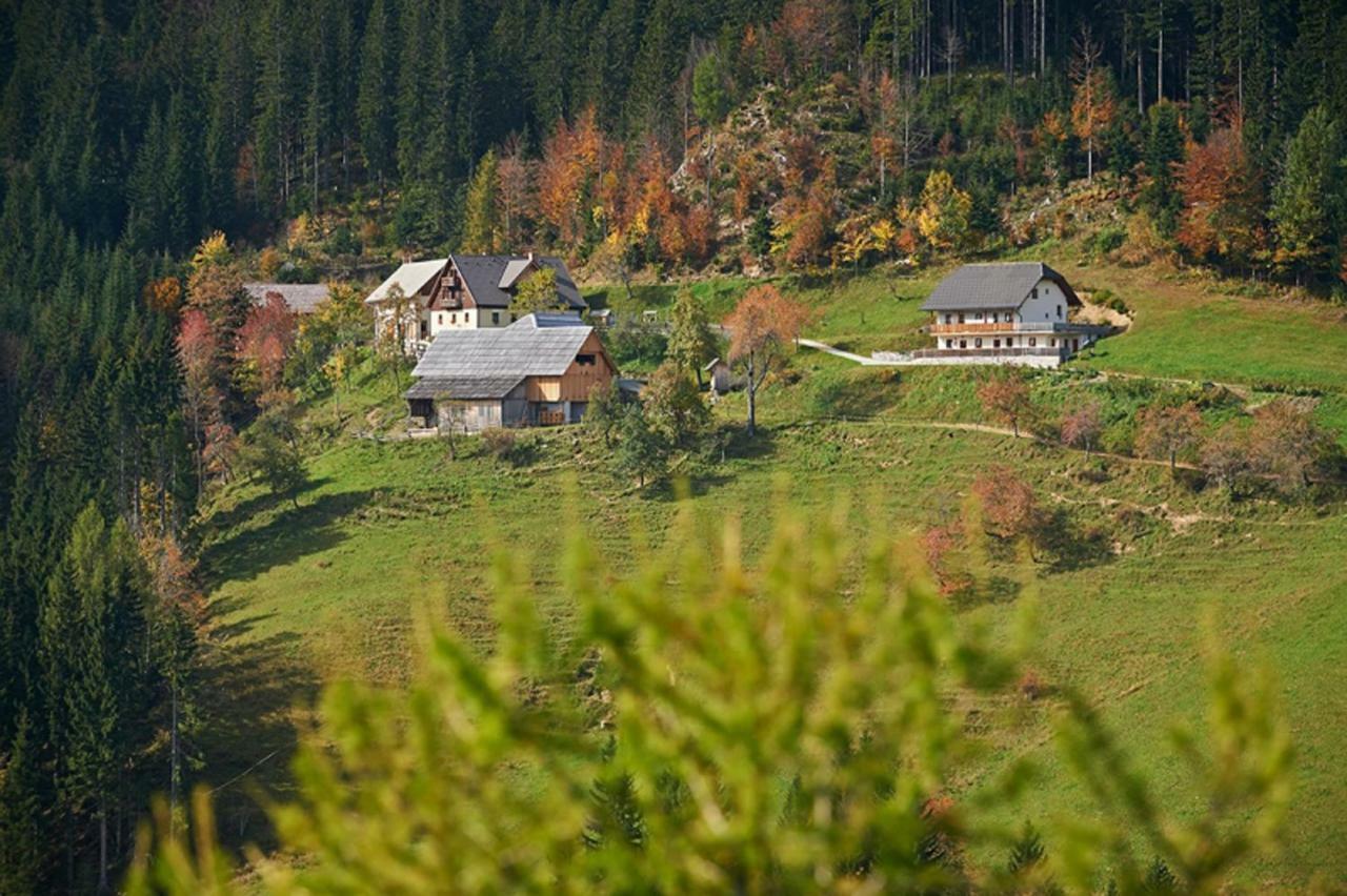 Вілла Turisticna Kmetija Perk Солчава Екстер'єр фото