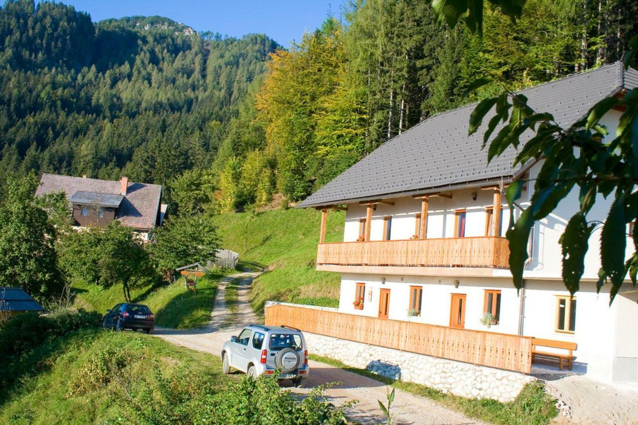 Вілла Turisticna Kmetija Perk Солчава Екстер'єр фото