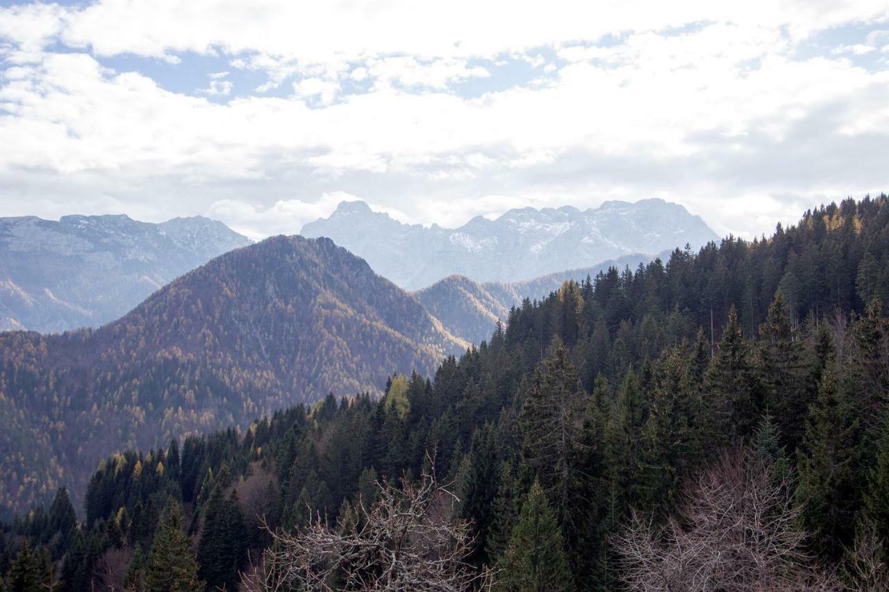 Вілла Turisticna Kmetija Perk Солчава Екстер'єр фото